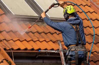 Démoussage et hydrofuge de toiture à Baffie